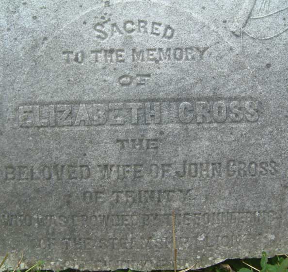 Elizabeth Cross, wife of William Cross who drowned on the S.S. Lion - Elizabeth Cross, pouse de William Cross qui s'est noye sur S.S. Lion.