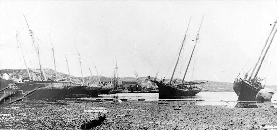 Wreckage in Twillingate Harbour after the N.E. gale of September 7 1907 - Épave dans le port de Twillingate après la rafale de nord-est, septembre 7 1907